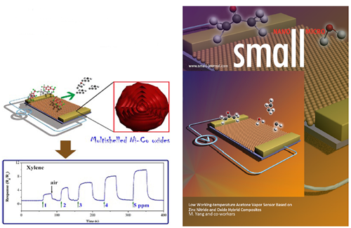 寧波材料所在先進(jìn)氣體傳感材料與傳感器關(guān)鍵技術(shù)方面取得進(jìn)展
