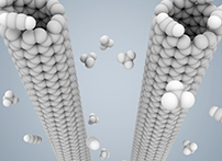 一種新型DNA生物傳感器的簡要原理介紹