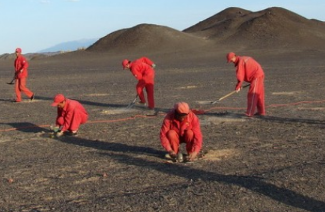 加速度傳感器在地震檢波器中的應用
