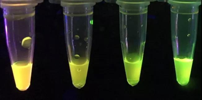 外國化學(xué)家開發(fā)新型紙質(zhì)傳感器,可檢測強(qiáng)效神經(jīng)毒素 外國化學(xué)家開發(fā)新型紙質(zhì)傳感器,可檢測強(qiáng)效神經(jīng)毒素